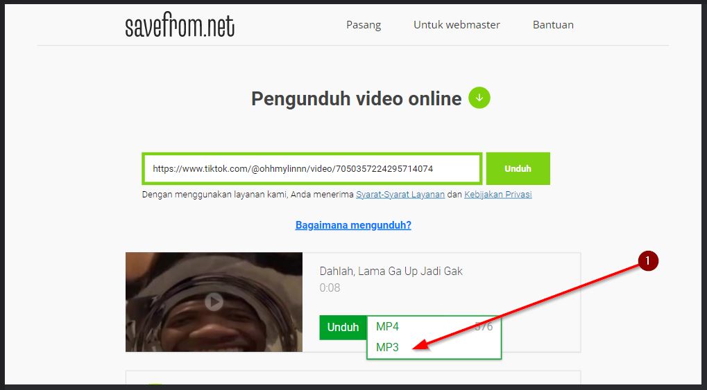 Download Video Lewat Savefrom Tiktok No Watermark