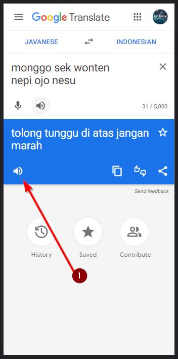 Sound Of Text Jawa Di Google Translate