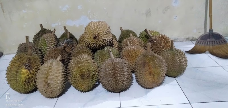 Durian Mojo di Kediri