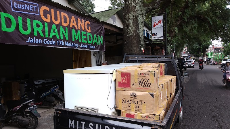 Gudang Durian Medan - GudangDurian.id di Malang