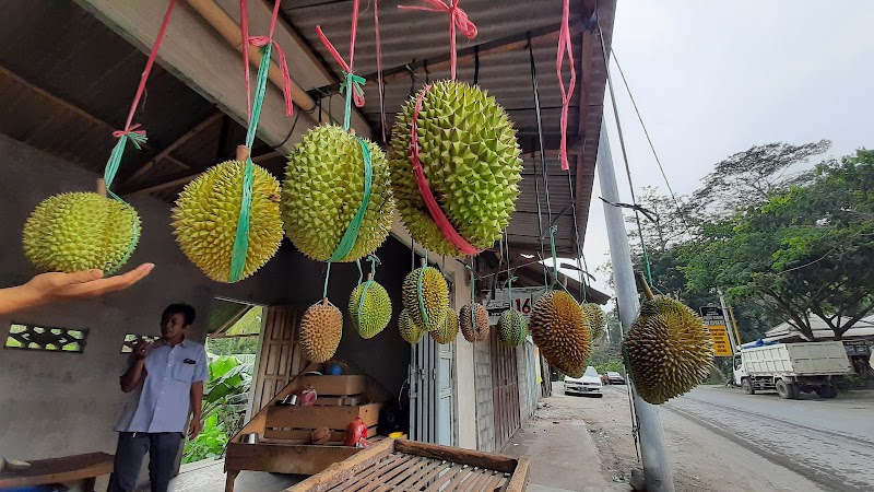 Perumahan Durian Permai di Blitar