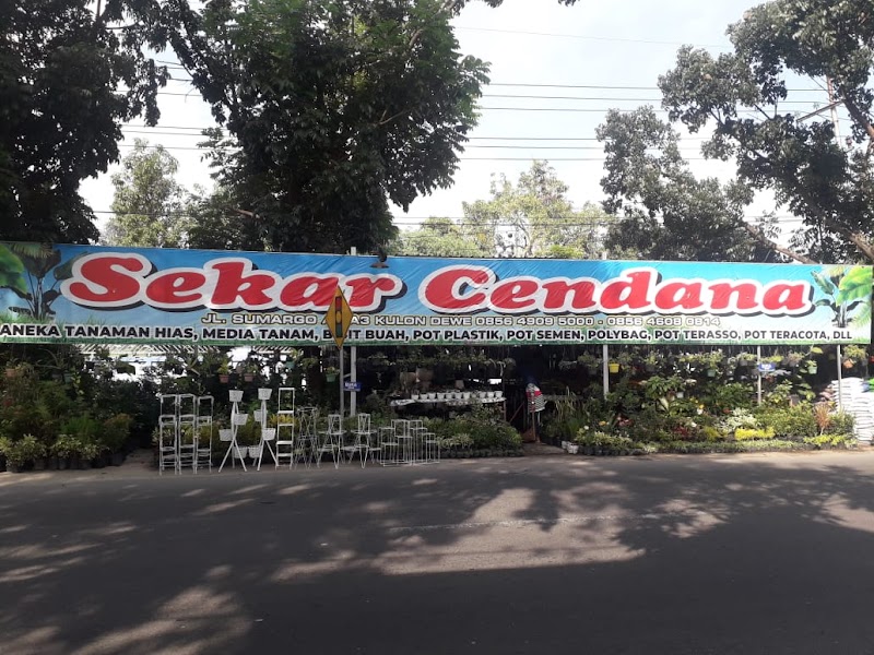 Sekar Cendana di Lamongan