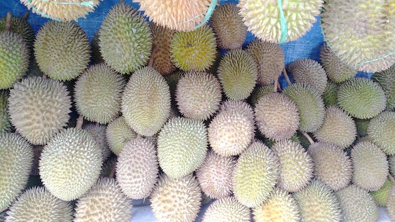 The Good Durian di Kota Batu