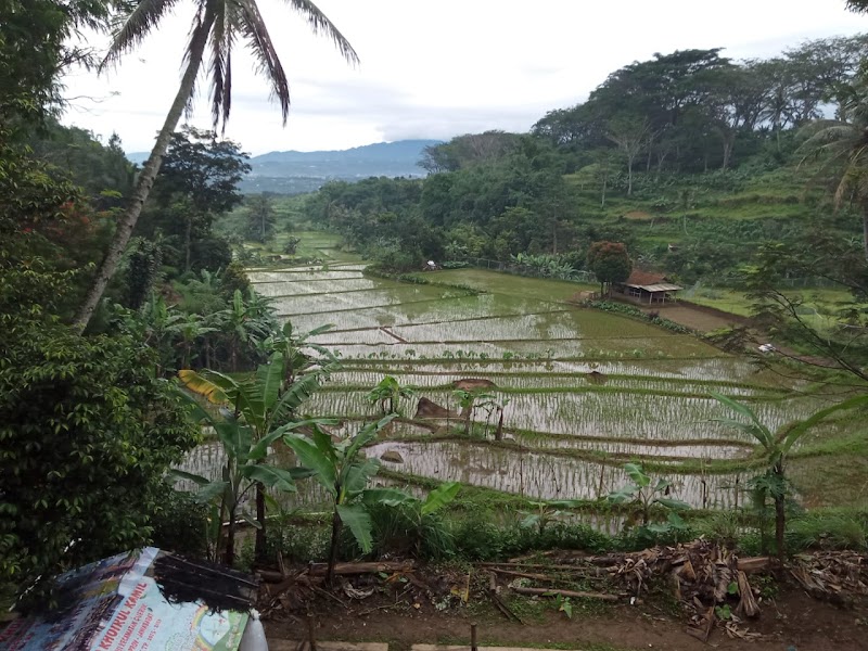 tukang urut munadi di Cilincing